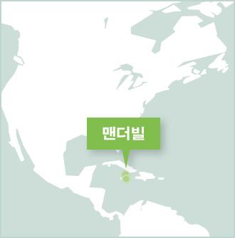 자메이카 맨더빌 프로젝트어브로드 봉사활동 기관 자메이카 멘더빌의 프로젝트 어브로드 활동지 지도