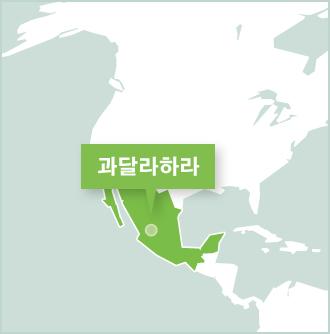 멕시코 과달라하라 프로젝트어브로드 봉사활동 지역 프로젝트 어브로드 멕시코 과달라하라 자원봉사 활동지 맵